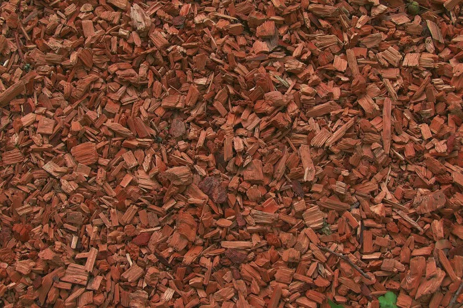 Wood Chips