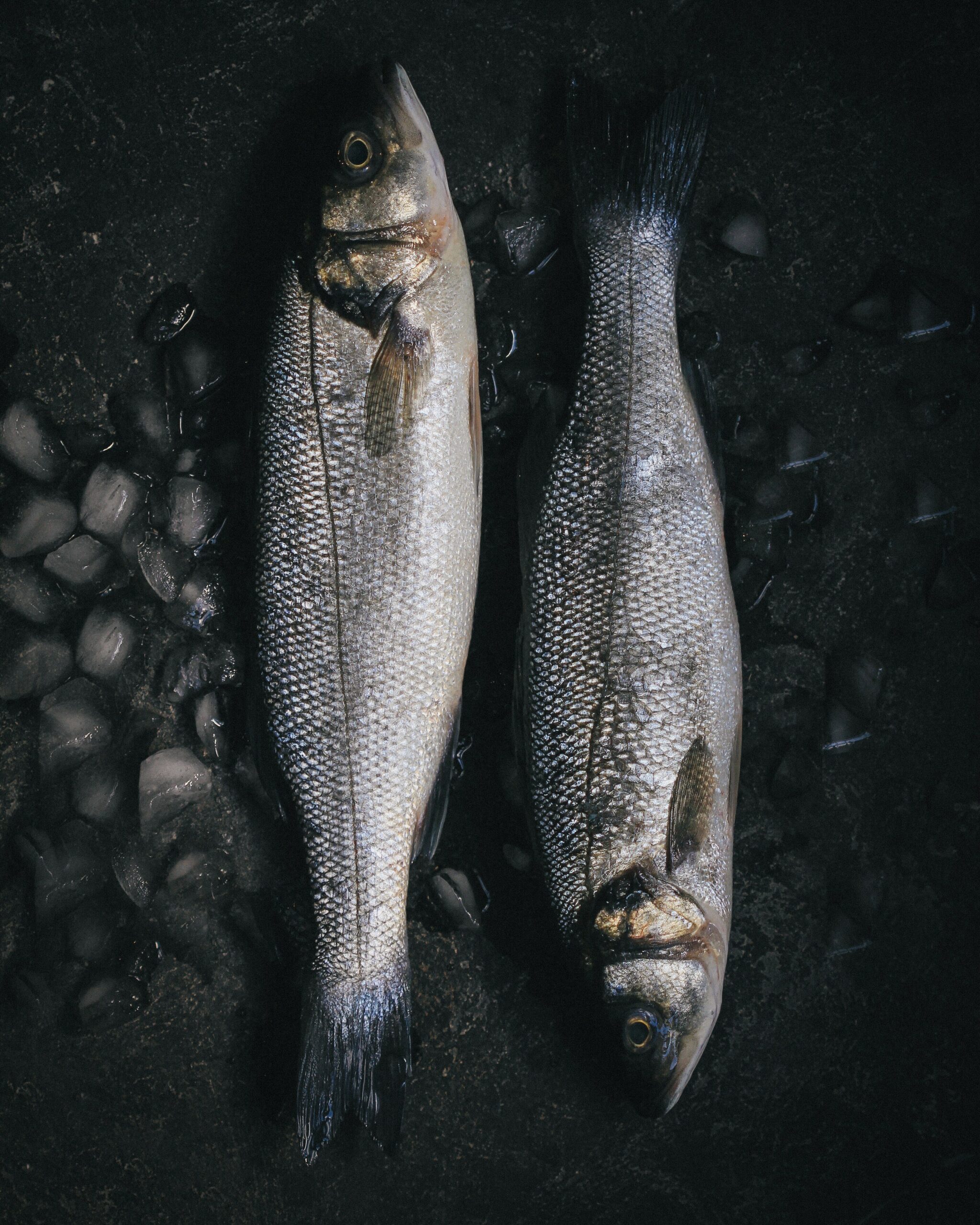 white-fish-of-the-world-12-white-fish-types-tasteatlas