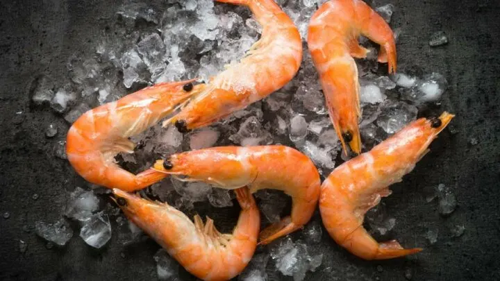 Fresh Prawns Shrimps In Ice