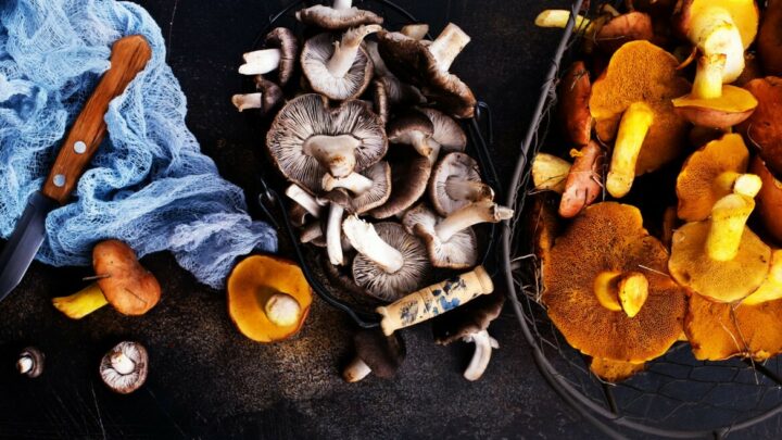 Can You Eat Raw Mushrooms?