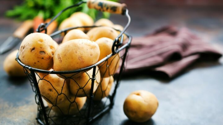 Do Potatoes Go Bad?