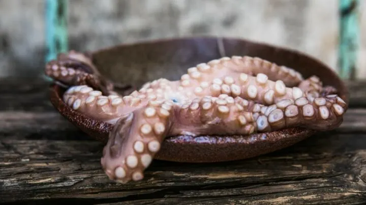 Can You Eat Raw Octopus