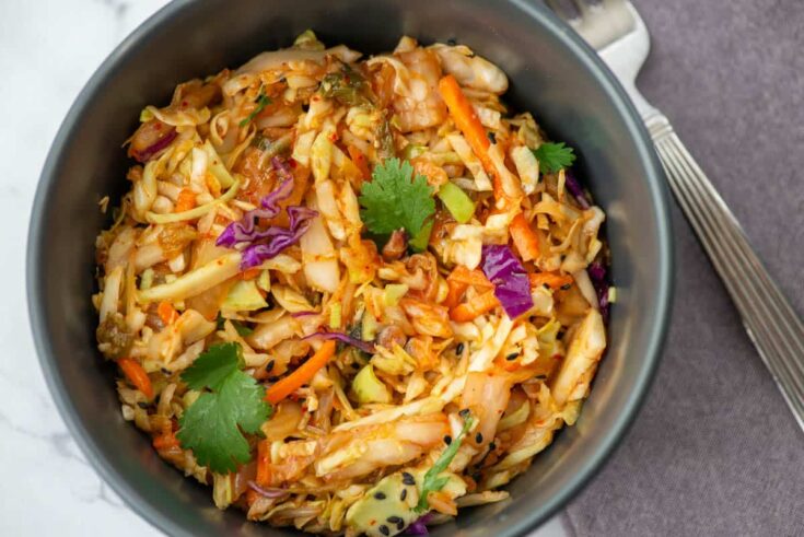 Kimchi Slaw 1183 A.jpg