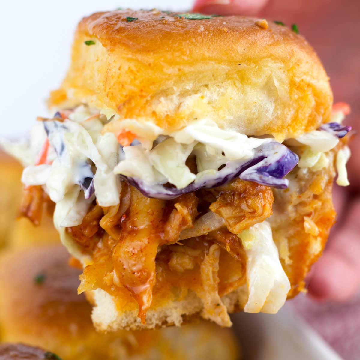 Square Chicken Slider.jpg