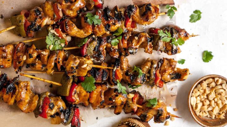 Grilled Chicken Satay Skewers Recipe 16×9 1.jpg